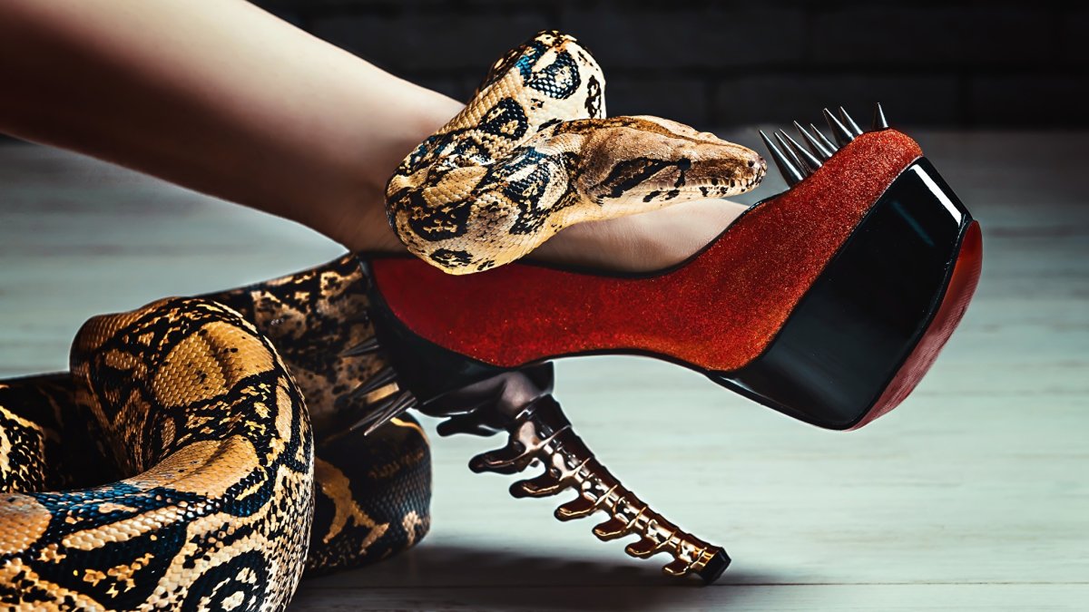Туфли со змеей на каблуке