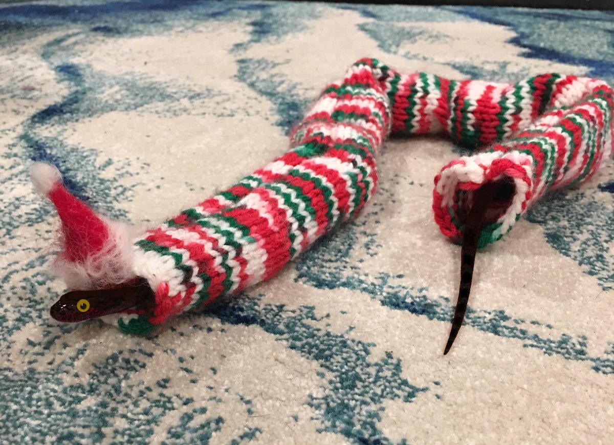 Змейка в свитере