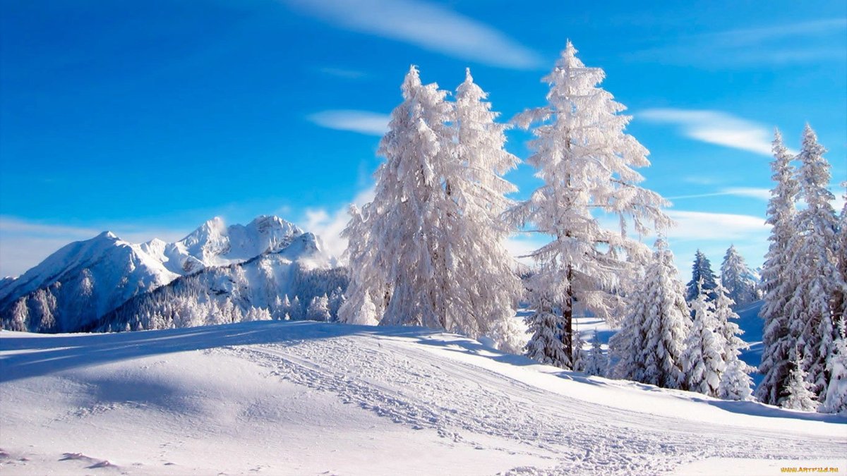 Красивая зима