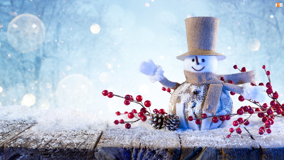 Снеговик и новый год