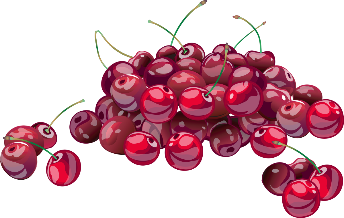 Вишня картинка для детей