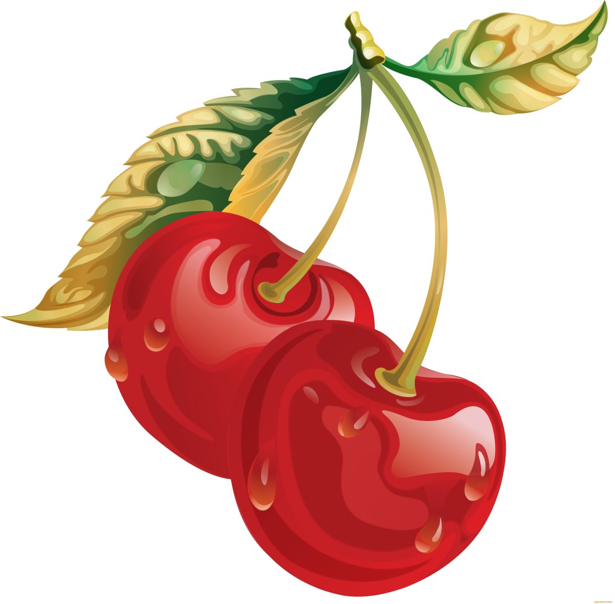 Вишня кавайная