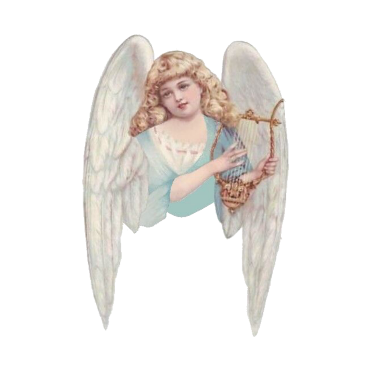 Annabel Spenceley иллюстрации