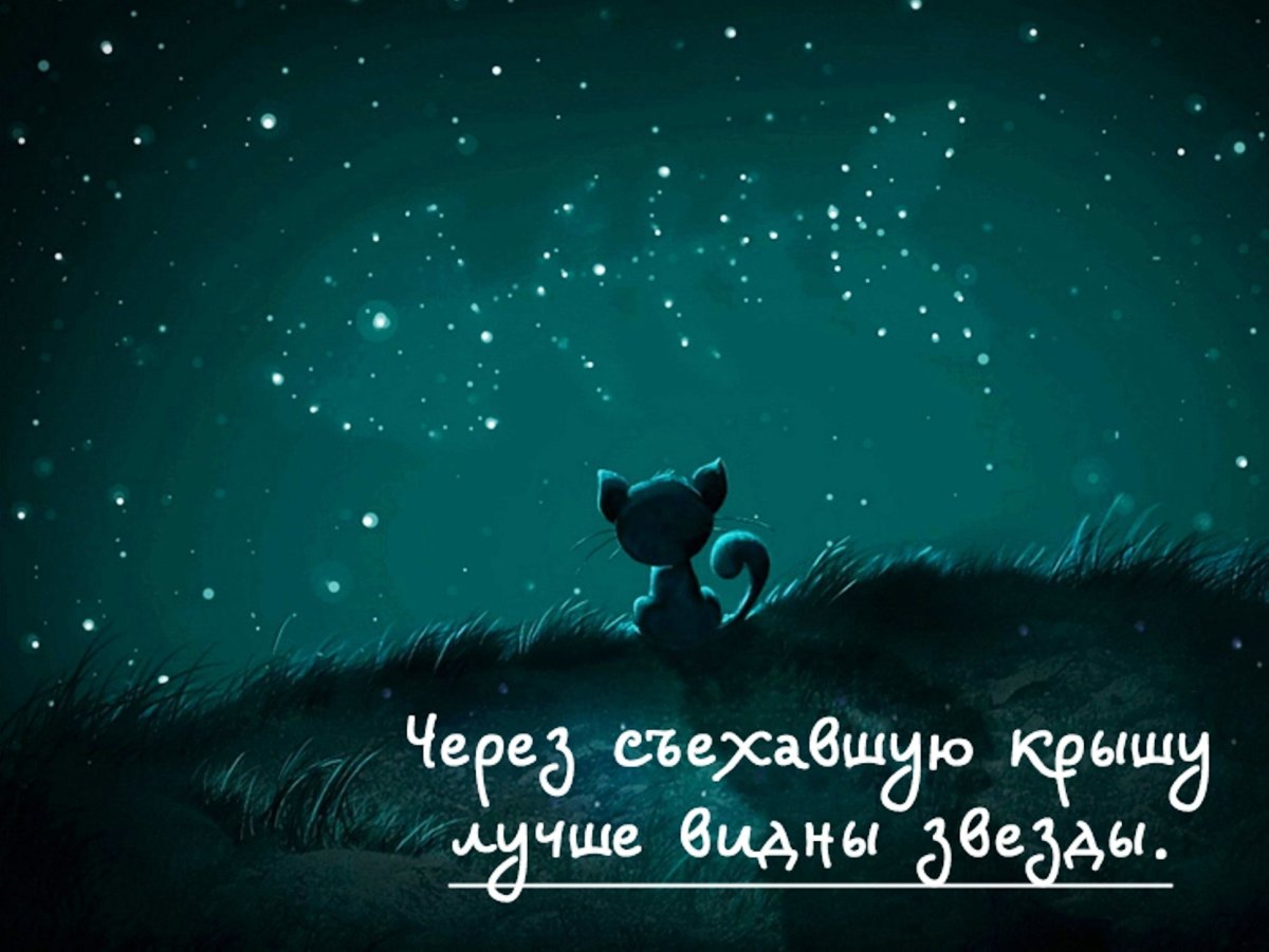 Смешные высказывания про ночь