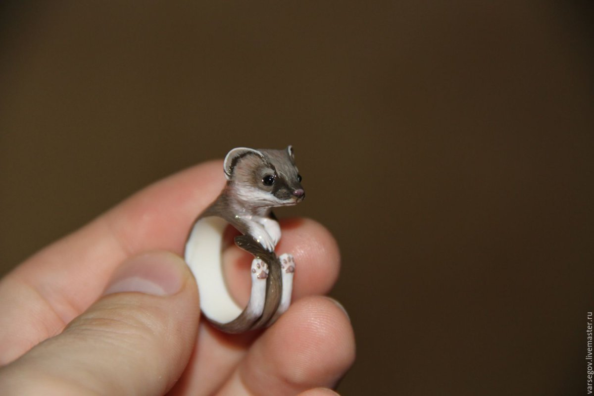 Ручная ласка