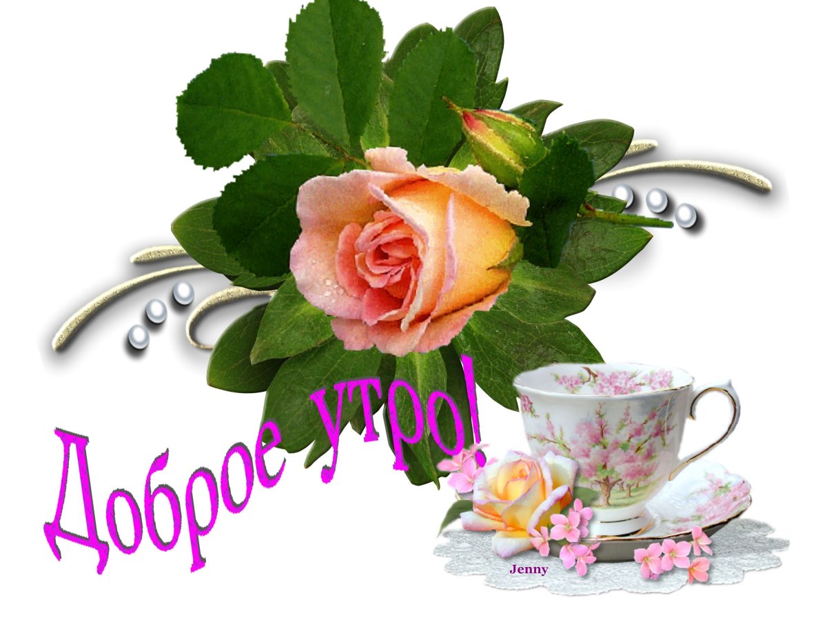 Нежная чашечка кофе