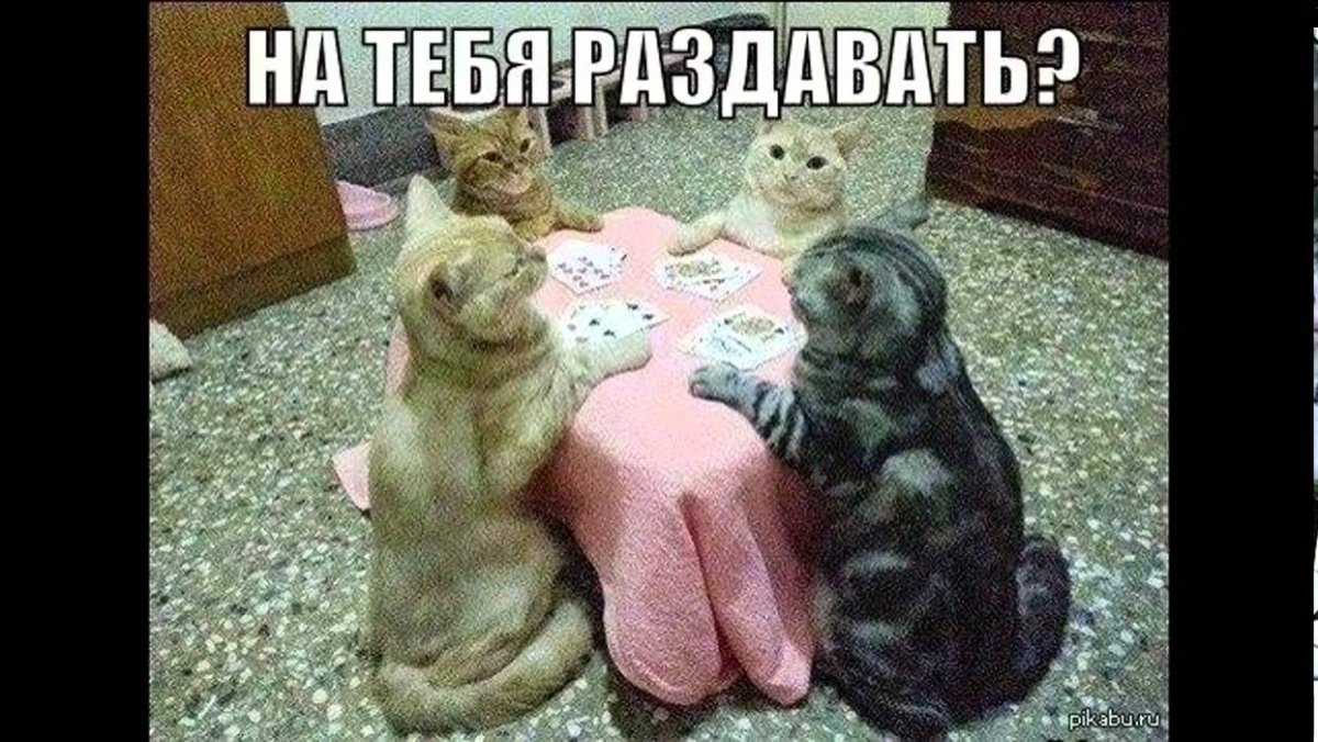 Обезьяна радуется