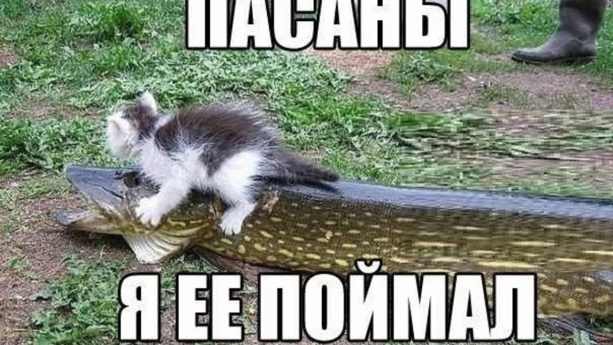 Дети и животные смешное