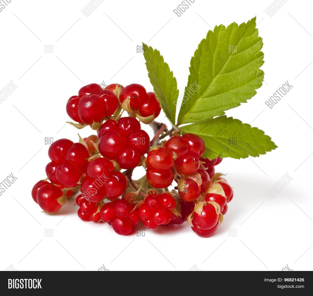 Княженика на белом фоне