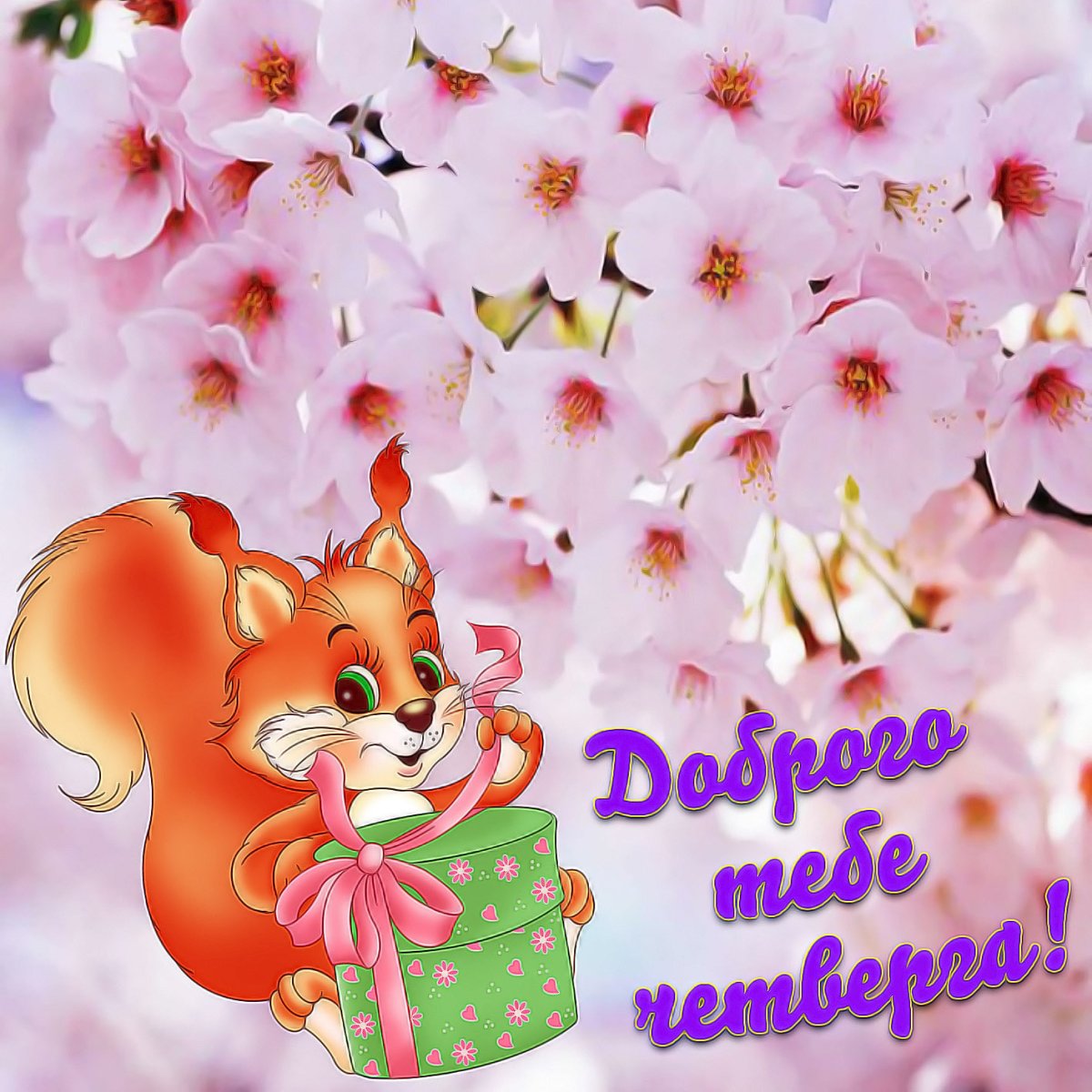 Доброе утро четверга