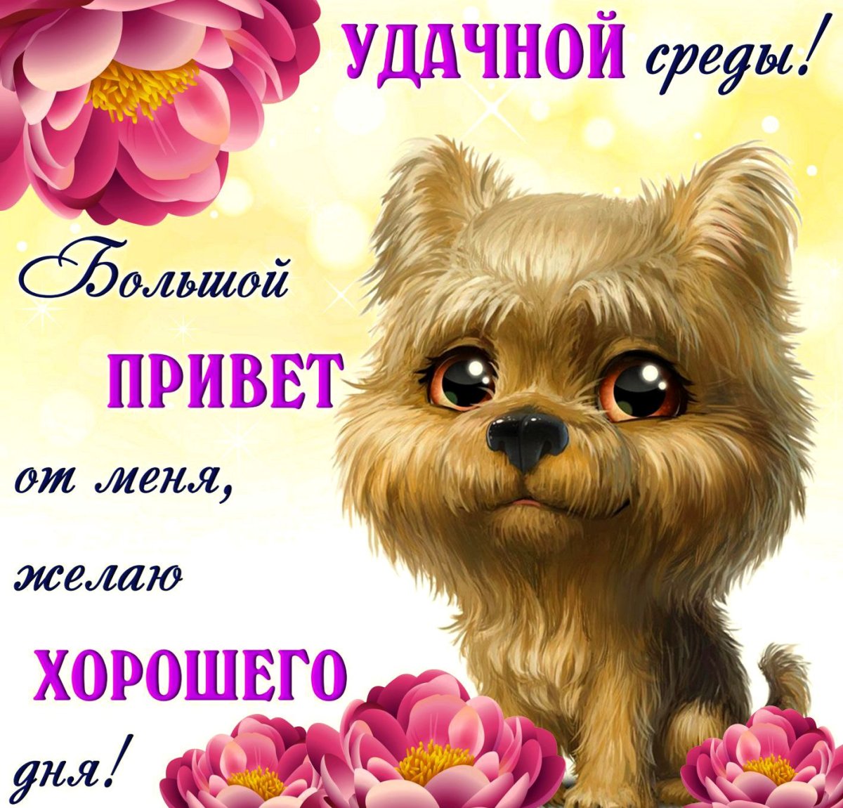 Открытки со средой