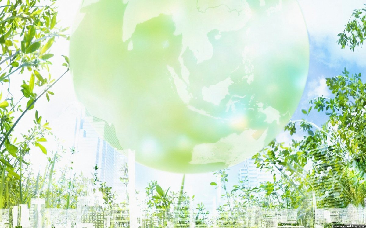 Экология фон