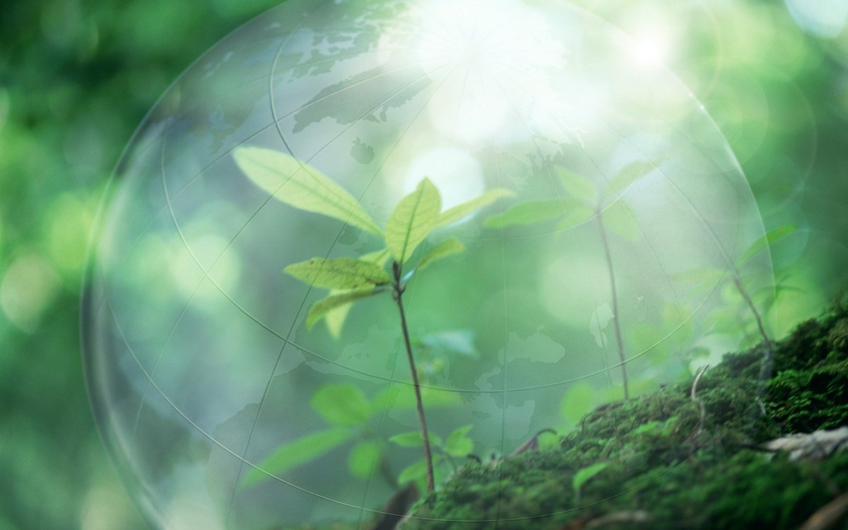 Защита природы