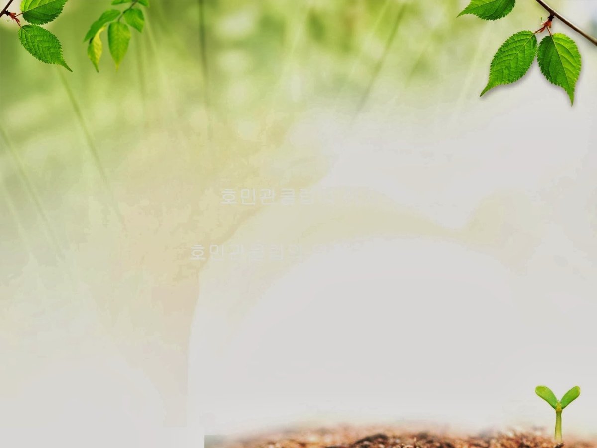 Фон для презентации по экологии