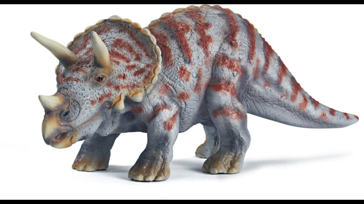 Трицератопс анатомия