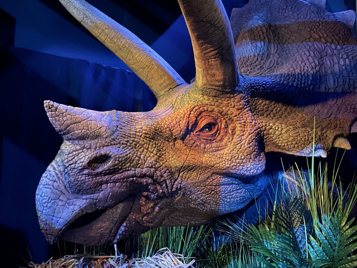 Эласмотерий и Трицератопс