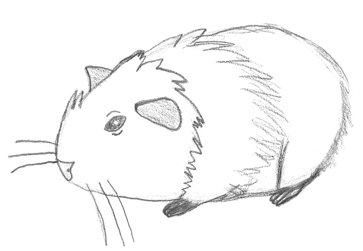 Кавайный хомяк