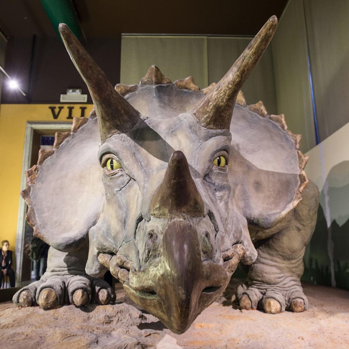 Трицератопс динозавр для детей