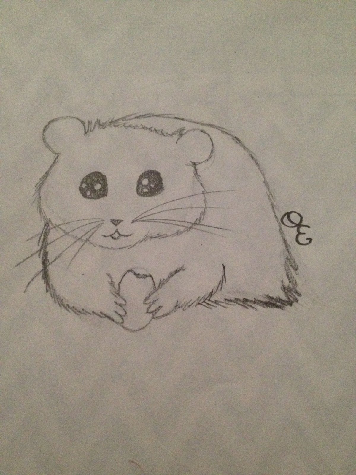 Хомяк рисунок простым карандашом