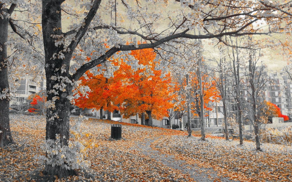 Осень в городе