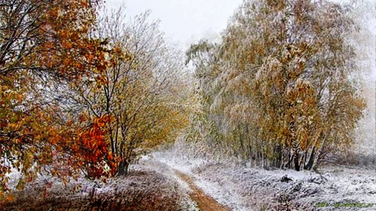 Н М рубцов 1 снег