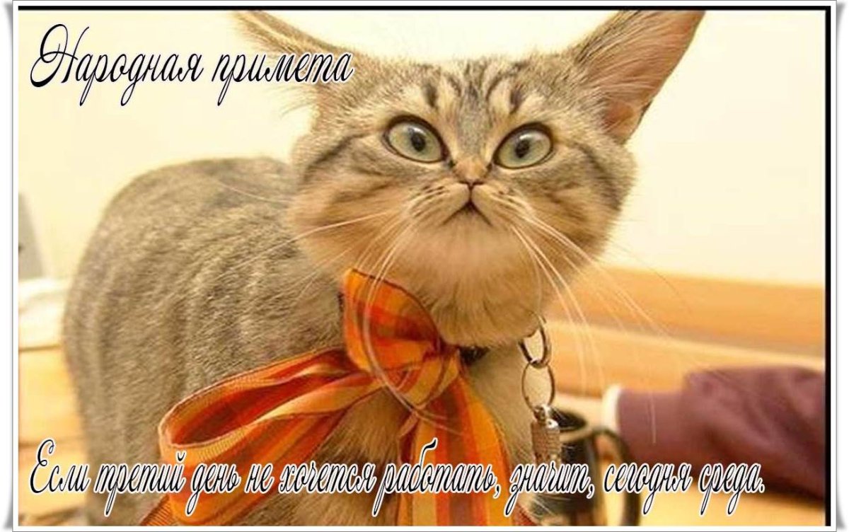 Кофе прикол