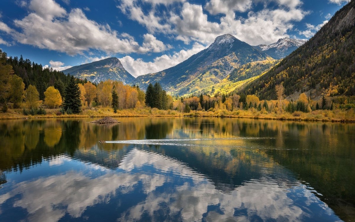 Природа озеро горы утки