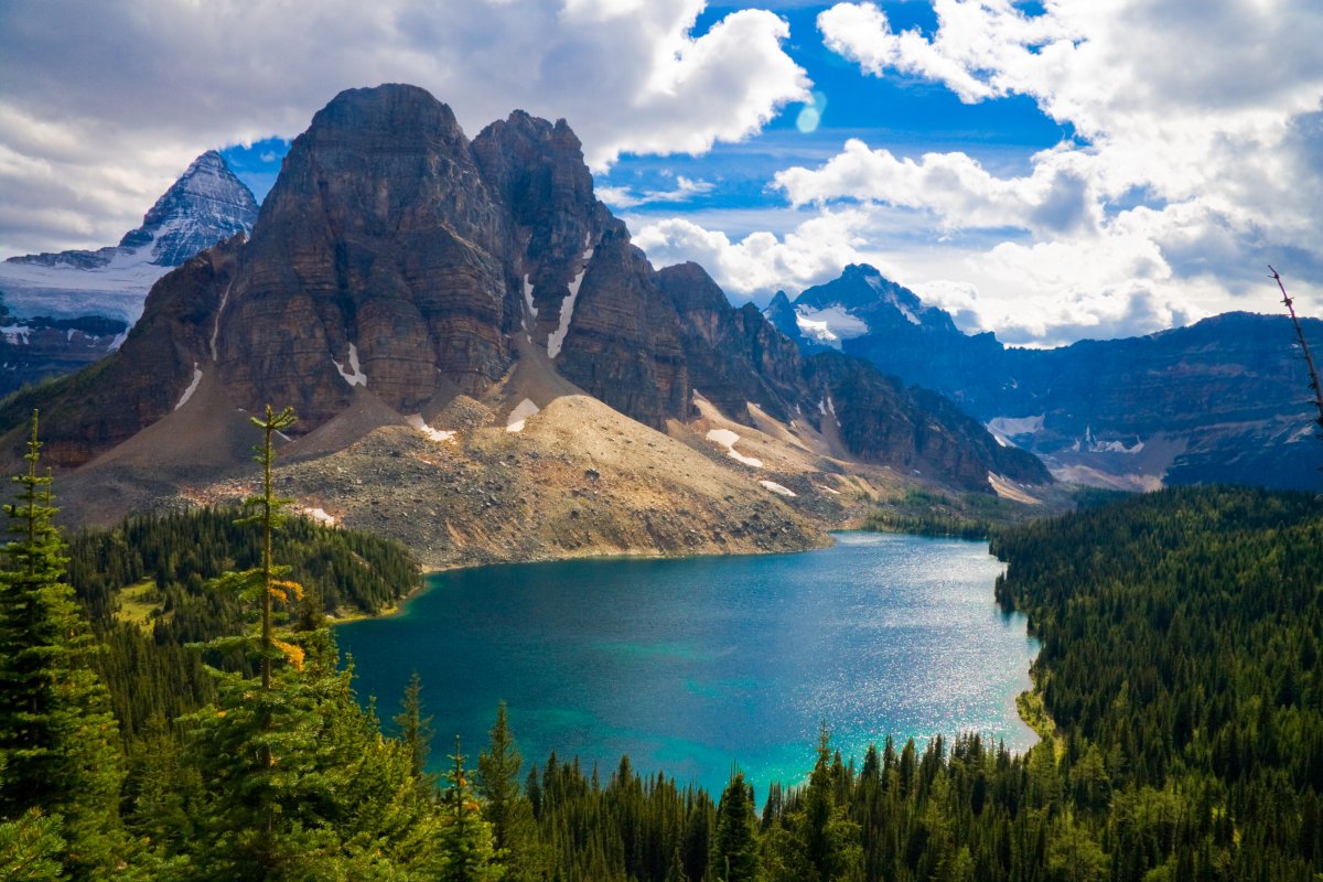 Красивое фото на аву природа