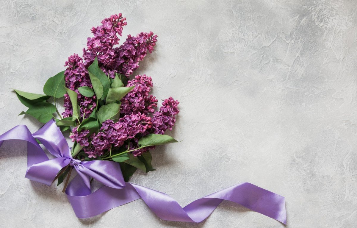 Ветка сирени на столе