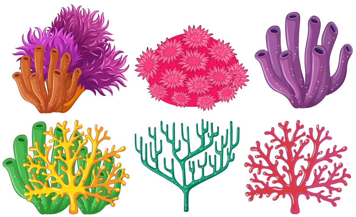 Кораллы мультяшные
