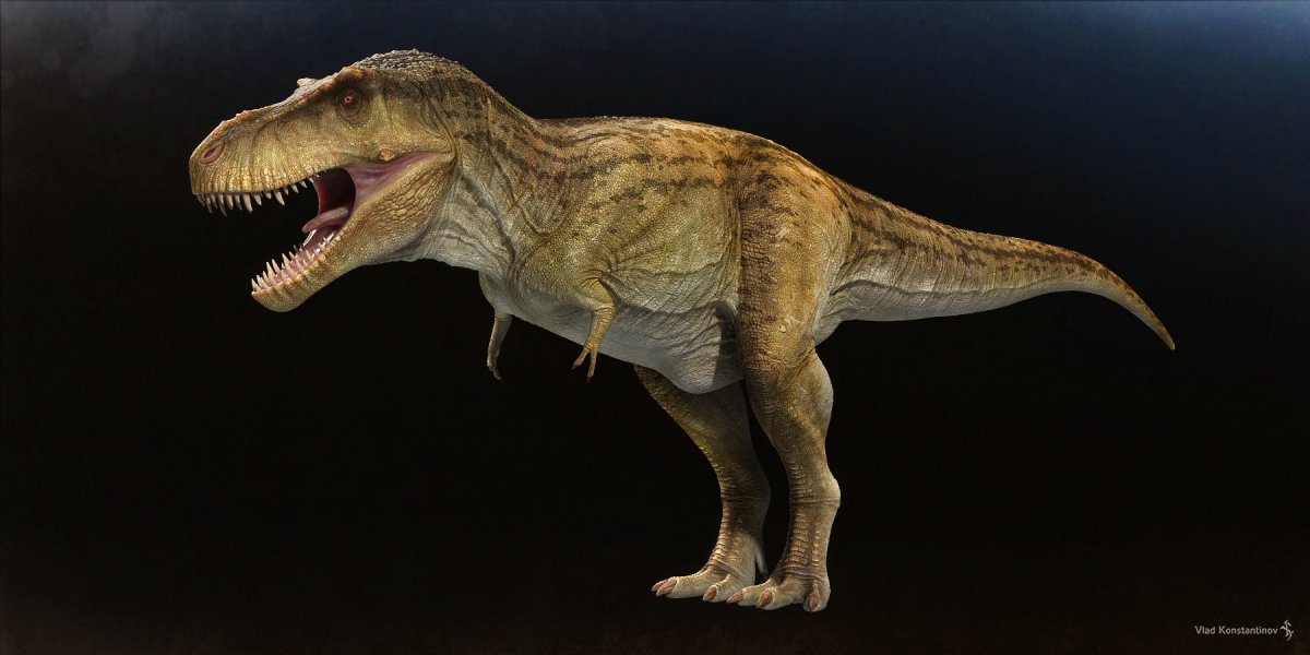 Влад Константинов динозавры