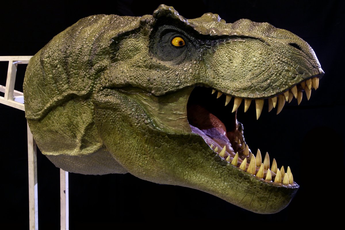 Голова тираннозавра парк Юрского периода