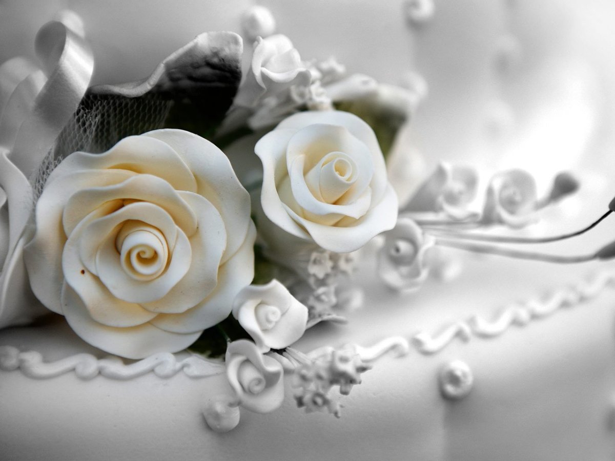 Свадебные альбомы с иллюстрациями