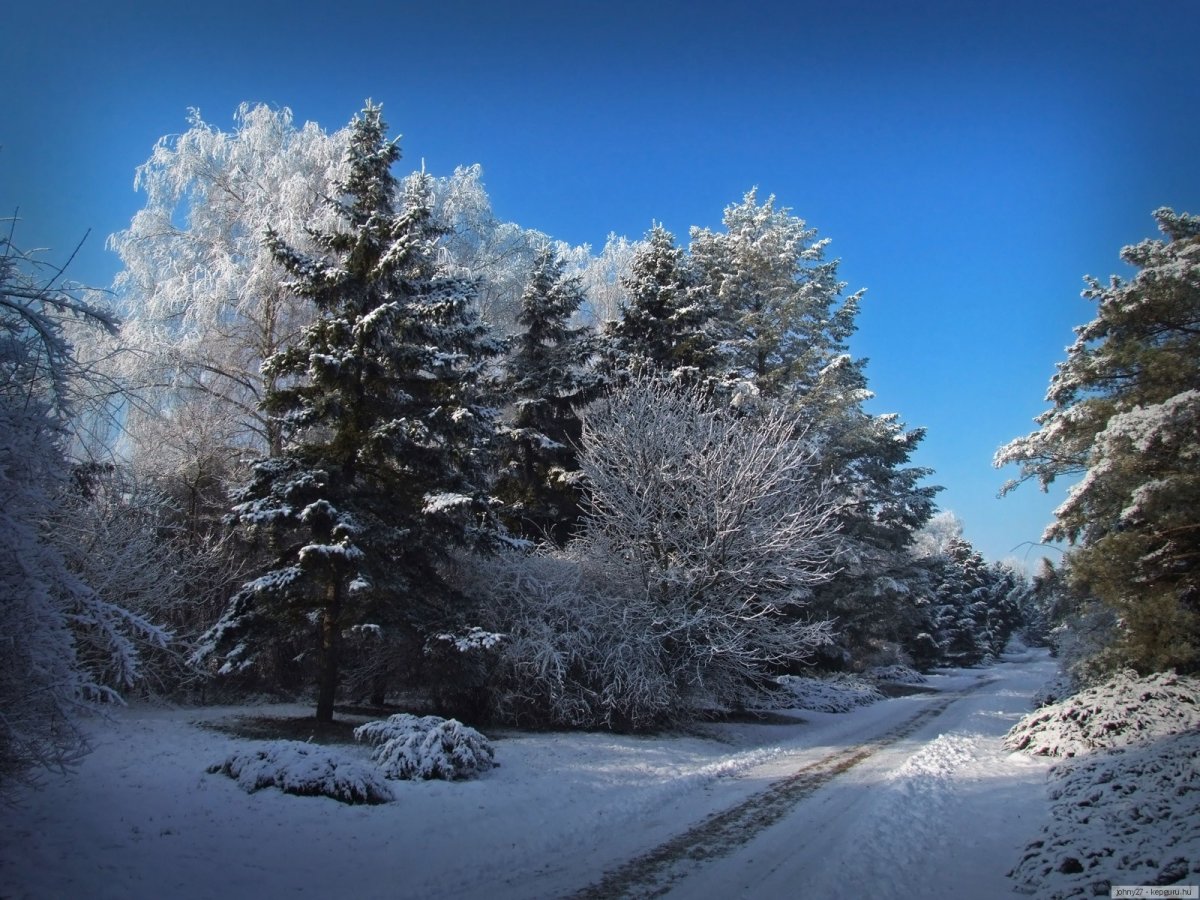 Зимний коллаж