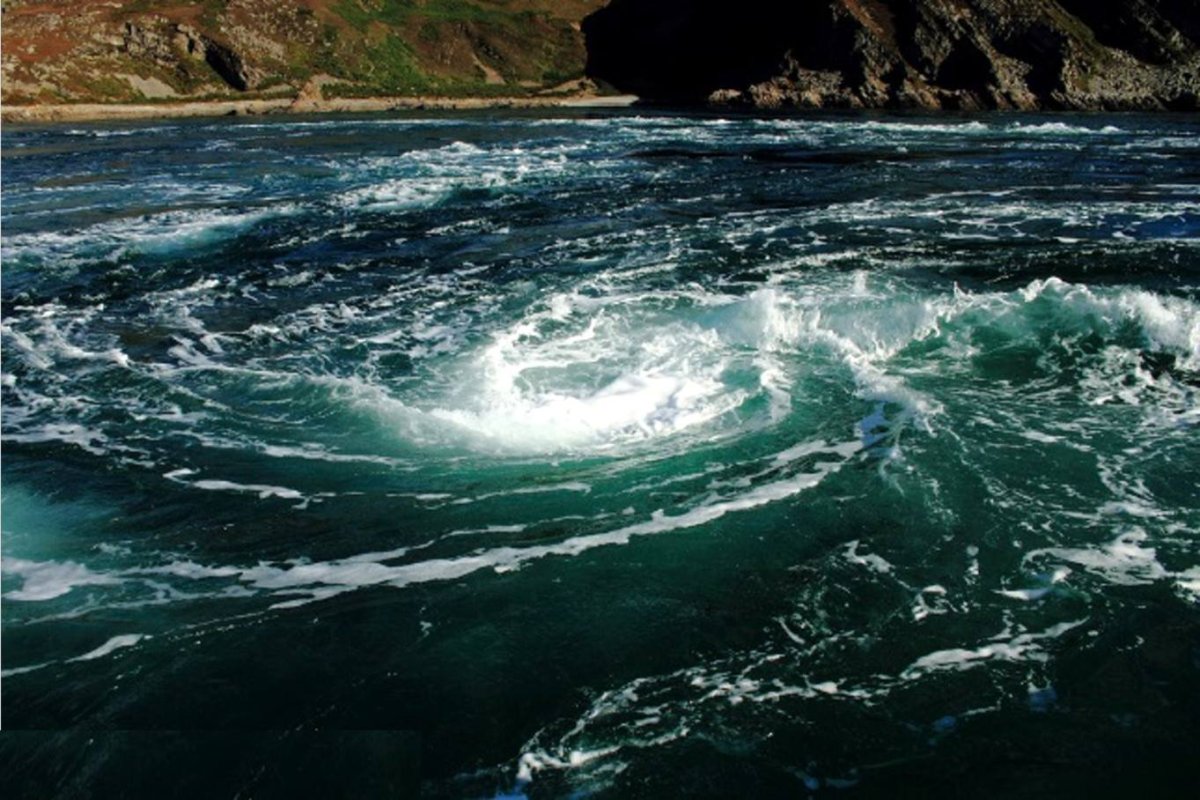 Воронка красивая