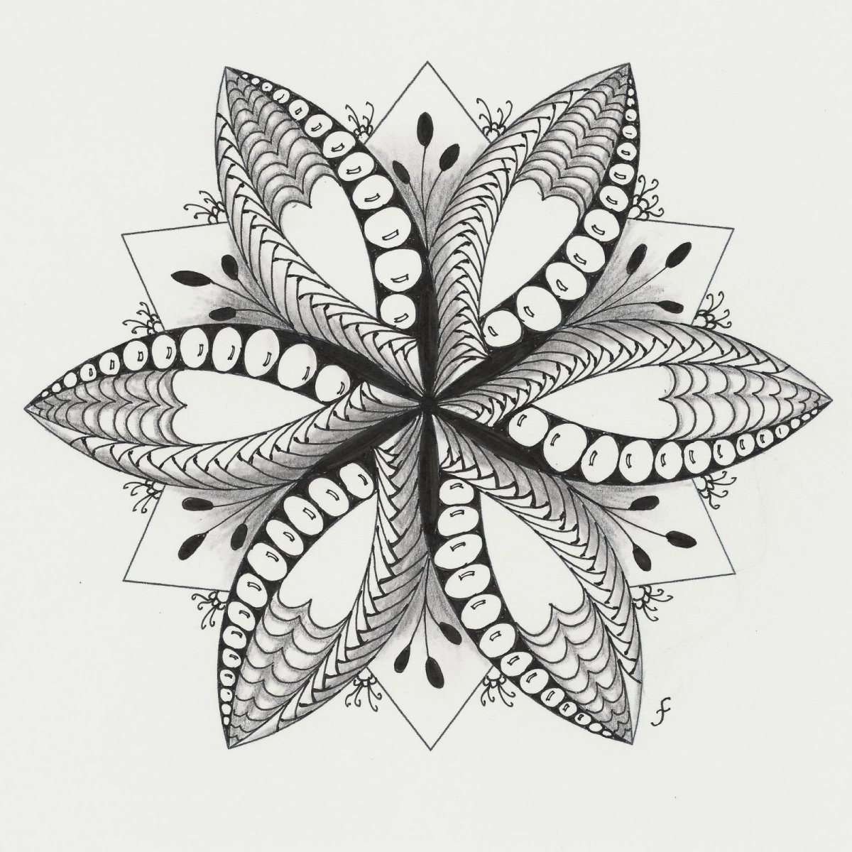 Зентангл Лилия