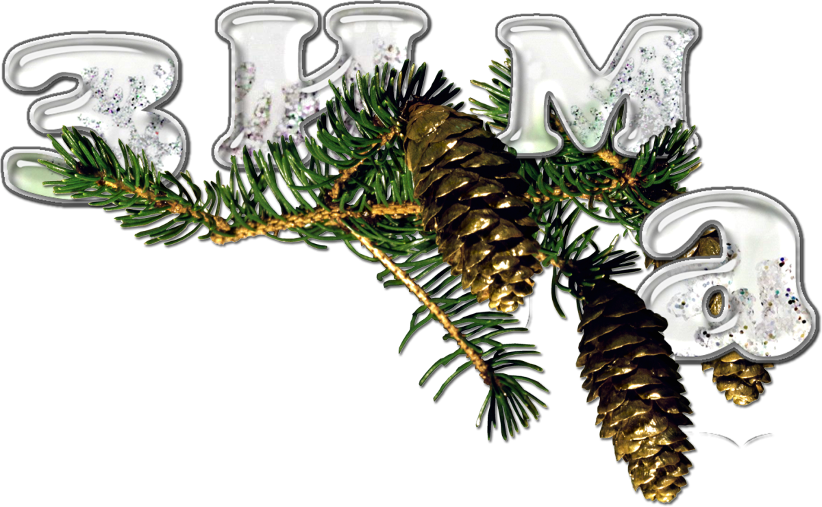 Зимние забавы