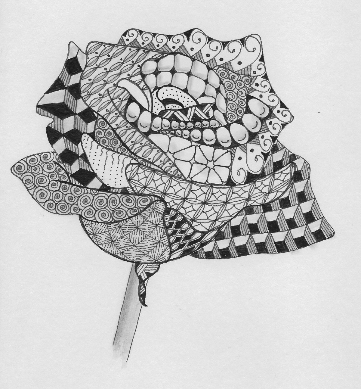 Зентангл розы