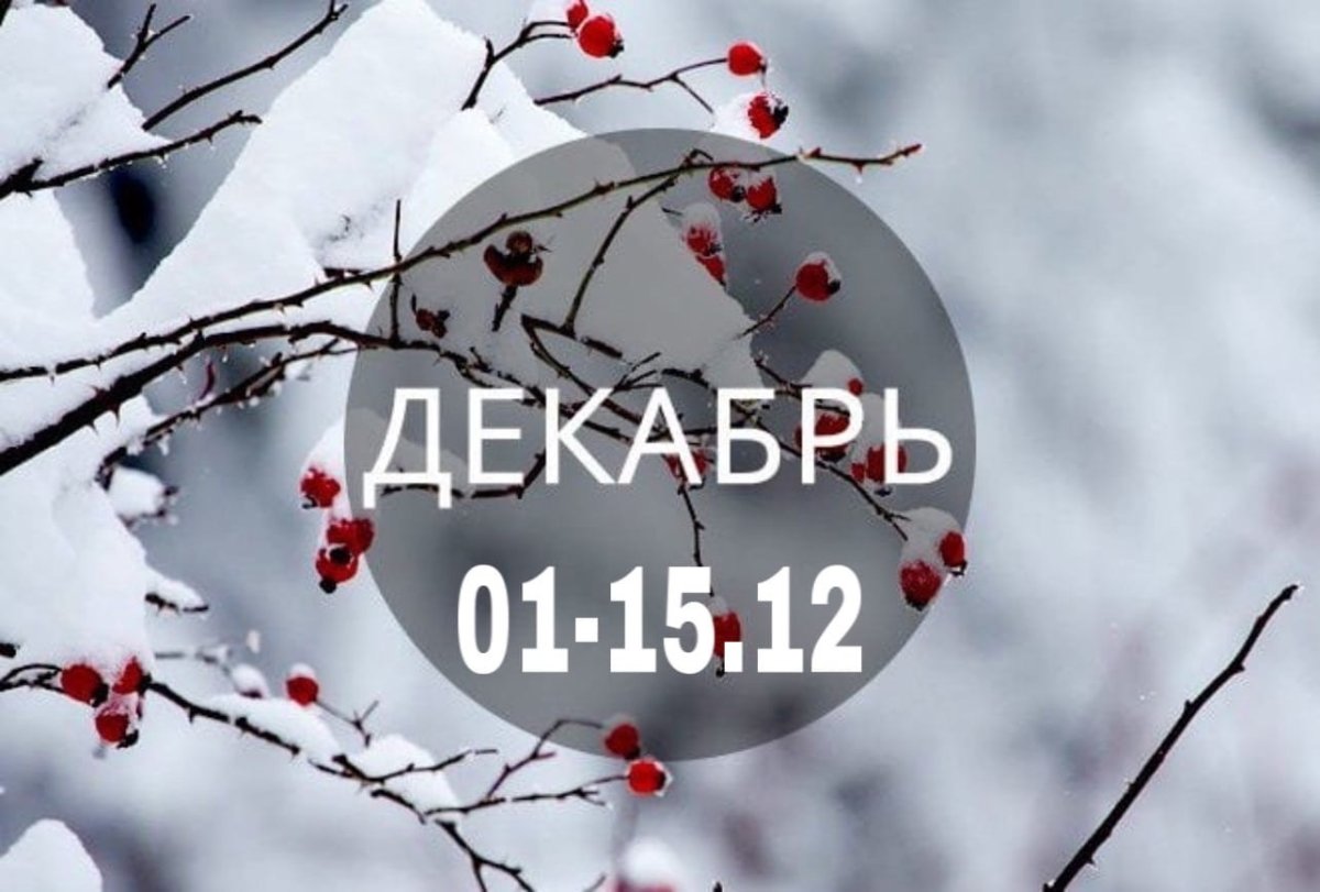 Фотографии декабря