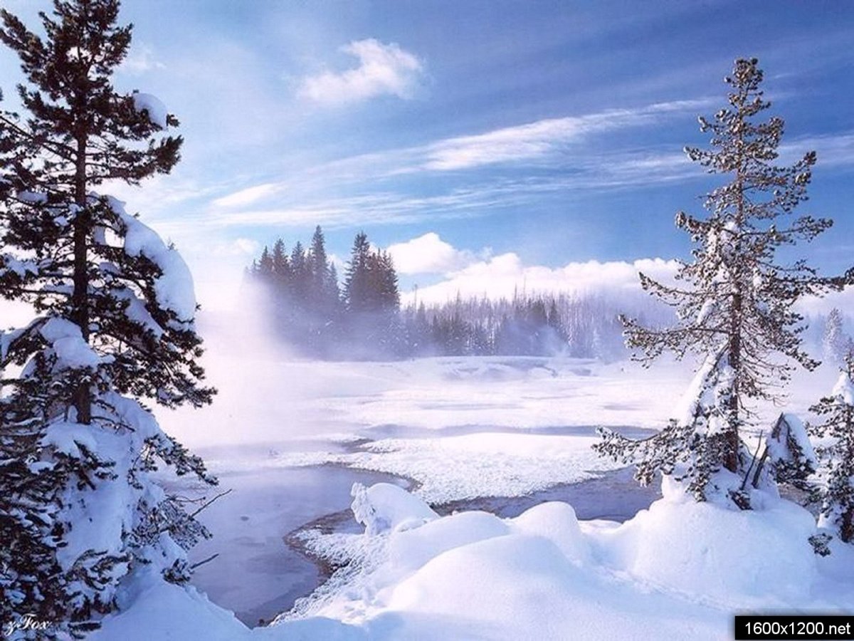 Новогодний фон для открытки