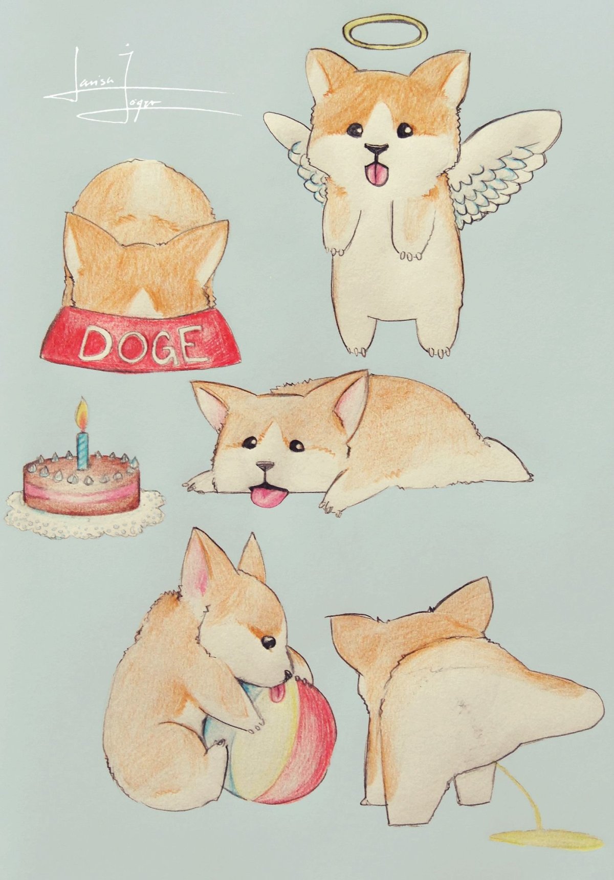 Стикеры круглые ВКОНТАКТЕ корги