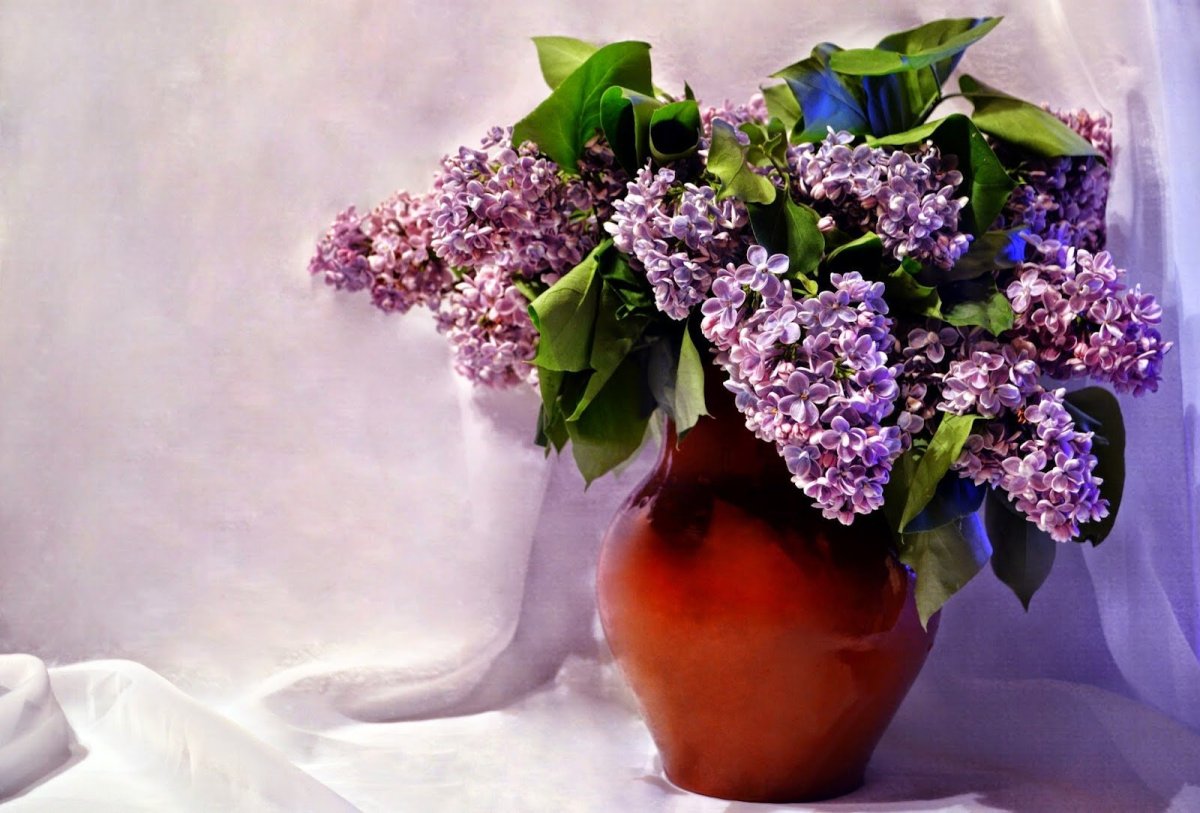 Маленький букетик сирени