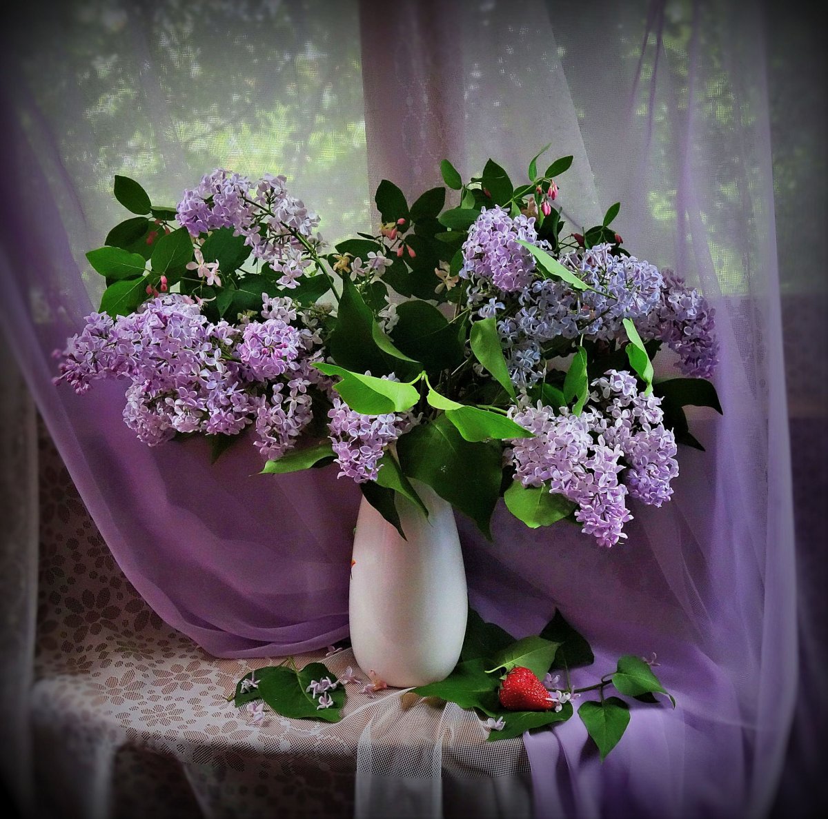 Сирень Якупова