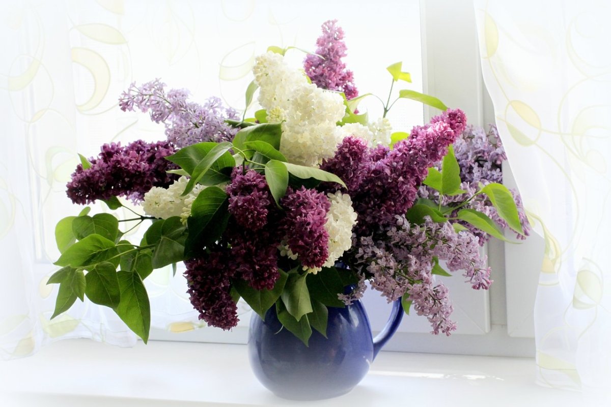 С днём рождения сирень