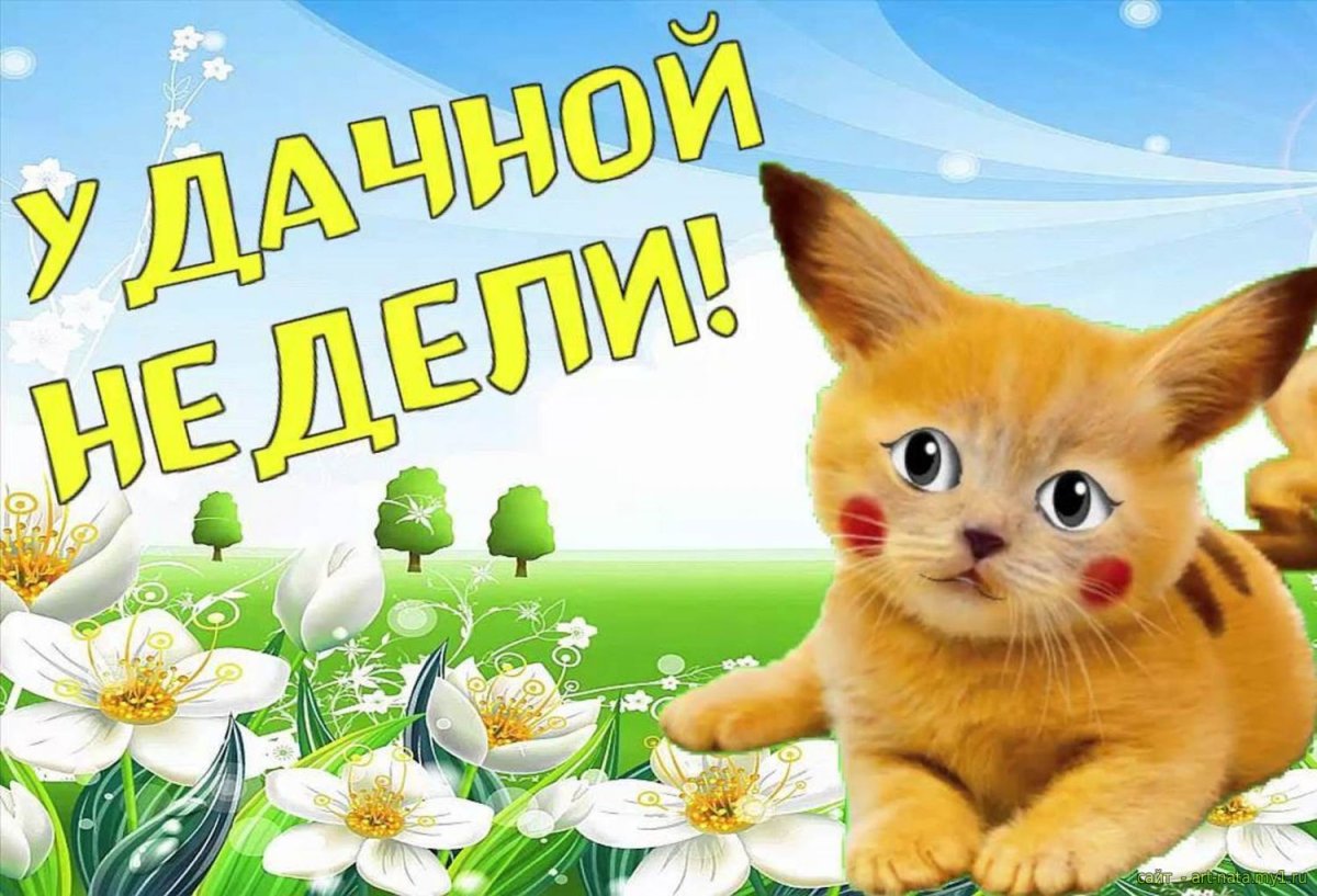 Доброго дня и хорошего настроения