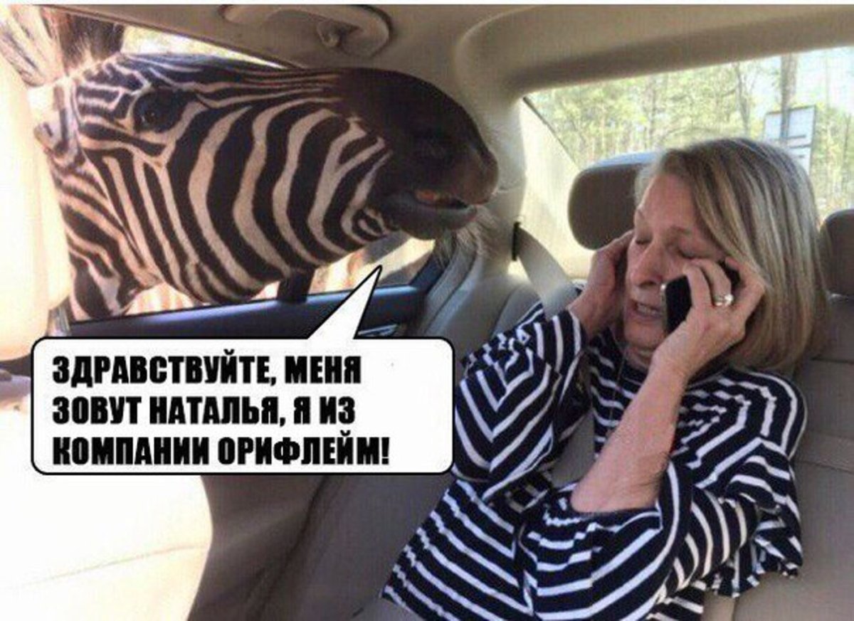 Любопытная птица