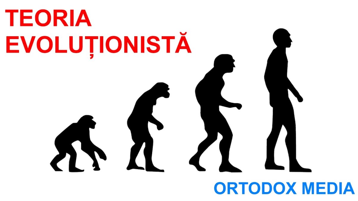 Эволюция от обезьяны