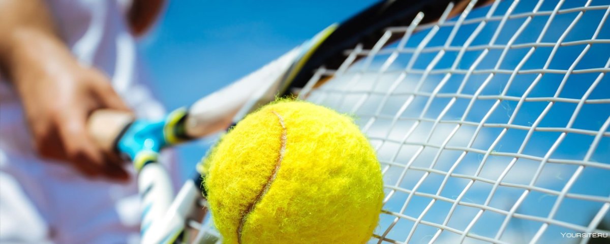 Большой теннис баннер