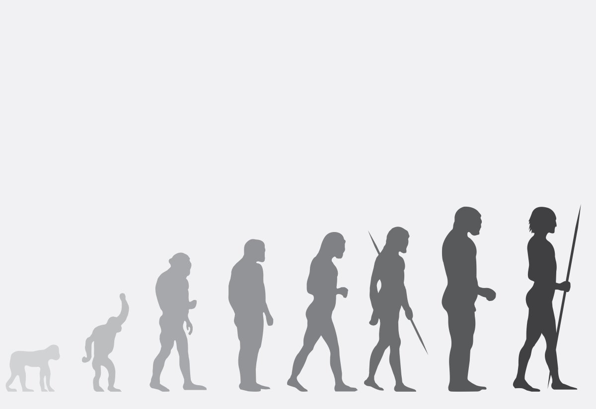 Экологическая Эволюция