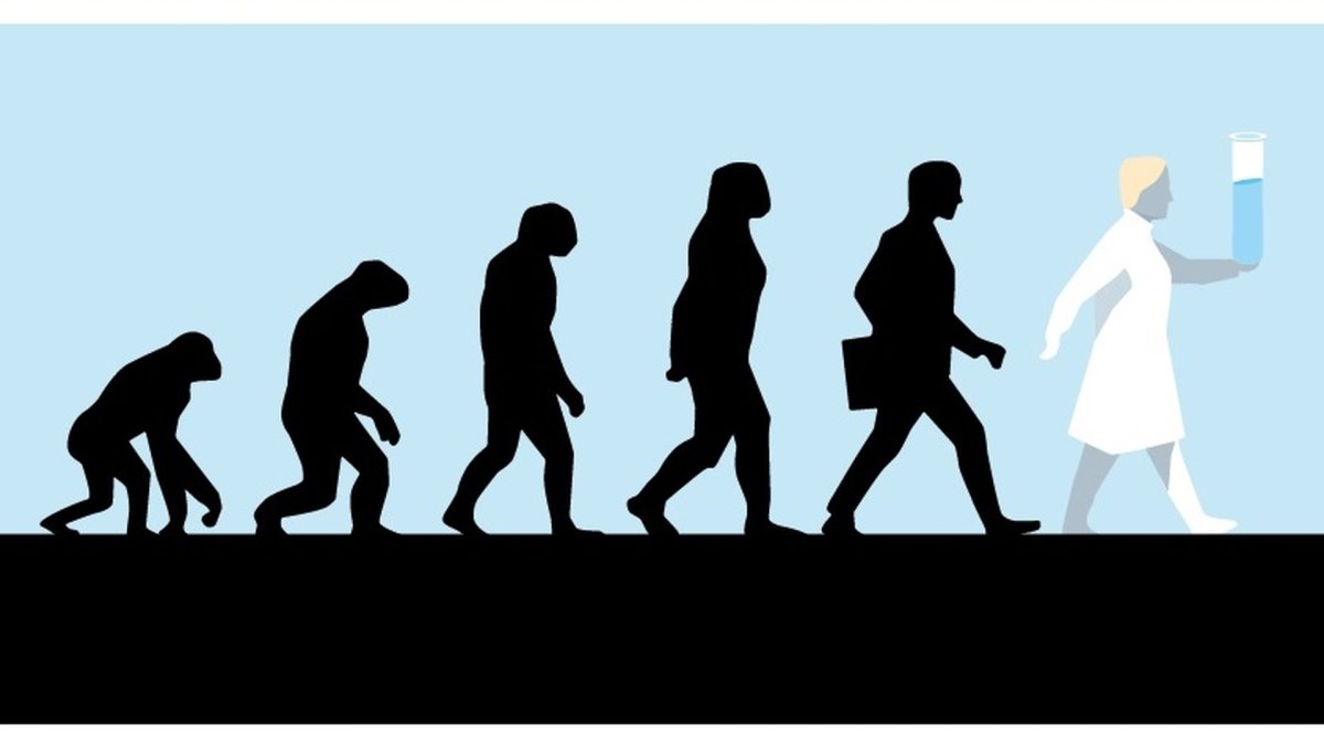 Эволюционное Древо приматов и человека